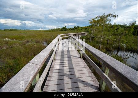 Promenade PA-Hay-Okee au-dessus de la prairie sawgrass dans le parc national des Everglades, en Floride, le jour de la tempête. Banque D'Images