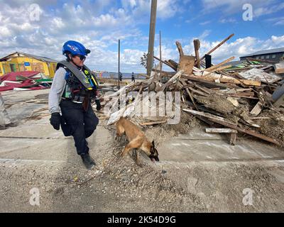 Matlacha Isles, États-Unis. 04th octobre 2022. La FEMA recherche et sauvetage urbains équipe de travail de l'Ohio 1 les membres de l'équipe utilisent des chiens-renifleur pour rechercher des débris et détruire des bâtiments pour les survivants à la suite de l'ouragan Ian, 4 octobre 2022, dans les îles Matlacha, en Floride. Crédit : Jocelyn Augustino/FEMA/Alay Live News Banque D'Images