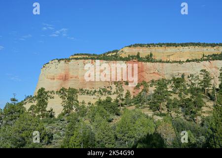 Parc national de Zion situé dans l'État de l'Utah, États-Unis Banque D'Images