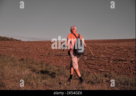 Vue arrière de l'homme de randonnée dans la nature Banque D'Images