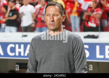 Lisbonne, Portugal, 5 octobre 2022, entraîneur Roger Schmidt de Benfica pendant la Ligue des champions de l'UEFA, match de football du Groupe H entre SL Benfica et Paris Saint-Germain sur 5 octobre 2022 à l'Estadio da Luz à Lisbonne, Portugal - photo: Laurent Lairys/DPPI/LiveMedia Banque D'Images