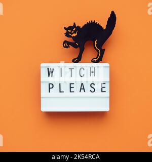 Visionneuse avec l'inscription SORCIÈRE S'IL VOUS PLAÎT sur un fond orange avec un chat noir. Banque D'Images