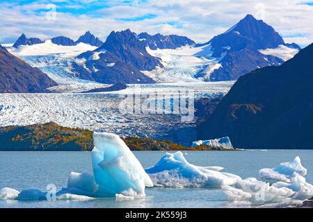 lac glacier en été, baie de Kachemak, Alaska Banque D'Images