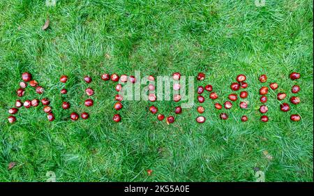 Le mot Autumn est écrit avec des conkers ou des châtaignes sur l'herbe, la nature saisonnière automnale. Banque D'Images