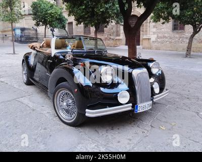 2006 Albaycin Hurtan. Voiture artisanale basée sur une Renault Clio, fabriquée à Grenade, Espagne Banque D'Images