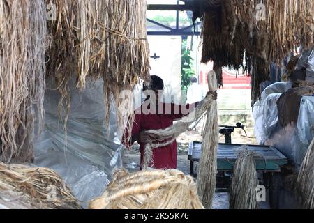 6 octobre 2022, manikgonj, Manikgonj, Bangladesh: Un vendeur trient le jute pour la vente. Le Bangladesh est le deuxième producteur de jute au monde. Le jute est un produit écologique, durable et biodégradable. C'est une fibre naturelle de couleur dorée et soyeuse et c'est pourquoi elle s'appelle ''Golden Fiber' (Credit image: © Syed Mahabubul Kader/ZUMA Press Wire) Banque D'Images