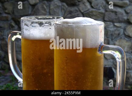 Des gouttes d'eau froide sur des verres pleins de bière artisanale photo détaillée de stock Banque D'Images