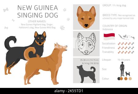 Nouvelle Guinée chant chien clipart. Ensemble de couleurs de pelage ; infographie sur les caractéristiques de toutes les races de chiens. Illustration vectorielle Illustration de Vecteur