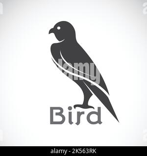 Image vectorielle d'un motif oiseau sur fond blanc, logo oiseau, motif aigle. Vecteur. Illustration vectorielle superposée facile à modifier. Animaux sauvages. Illustration de Vecteur