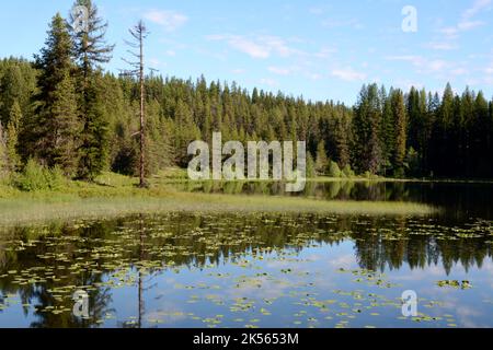 Un grand étang dans la réserve naturelle nationale de Little Pend oreille, près de la ville de Colville, dans le nord-est de l'État de Washington, États-Unis. Banque D'Images