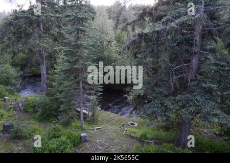 Un aperçu de la rivière Little Pend oreille qui traverse la réserve naturelle nationale de Little Pend oreille, près de Colville, dans l'État de Washington, États-Unis. Banque D'Images