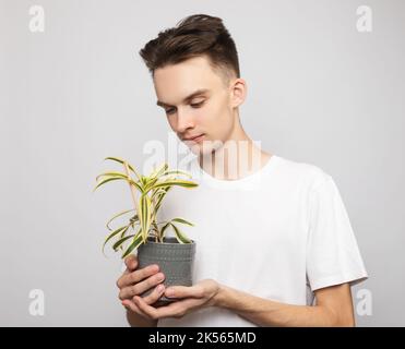 Portrait d'un jeune homme joyeux portant un t-shirt blanc tenant une plante en pot. Studio tourné sur fond gris Banque D'Images