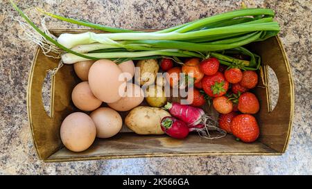 Oignons de printemps, œufs, pommes de terre, fraises et radis dans une boîte en bois collectée dans un jardin du marché. Banque D'Images