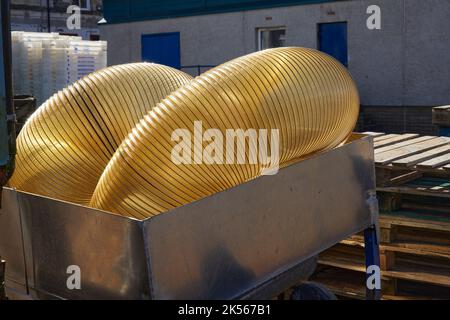 Une bobine de conduits flexibles sur le quai du port à East Loch Tarbert, Argyll et Bute. Écosse Banque D'Images