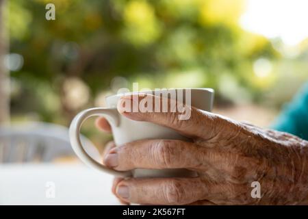 femme âgée mains tenant une tasse Banque D'Images