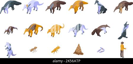 Les icônes de l'évaluateur définissent le vecteur isométrique. Fourmi animal. Grand géant Illustration de Vecteur