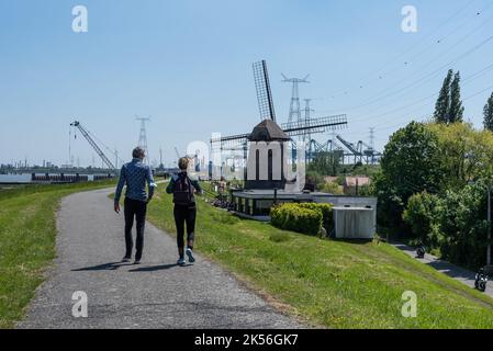 Doel, est - Flandre - Belgique - 06 01 2021 couple marchant sur la digue avec une vue sur l'ancienne industrie et les moulins à vent Banque D'Images