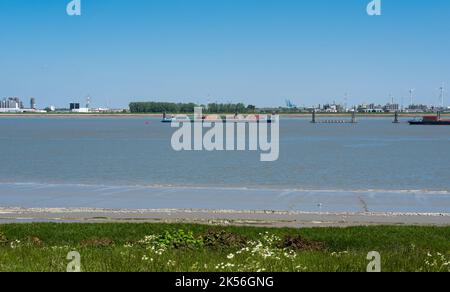 Doel, est - Flandre - Belgique - 06 01 2021 vue sur les navires de fret internationaux dans le port Banque D'Images
