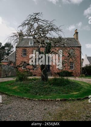 La maison et le jardin avec l'architecture arborescente de la vieille ville de Cromarty, Black Isle, Ross & Cromarty, Highland, Ecosse Royaume-Uni Banque D'Images