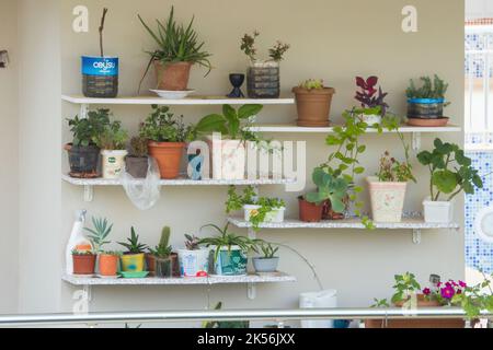 ALANYA, TÜRKİYE - 20 juin 2022. Plantes de maison cultivées dans des pots debout sur plusieurs étagères sur le balcon d'un immeuble d'appartements Banque D'Images