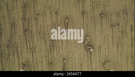 sable texture fond grain bruit martini olive Banque D'Images