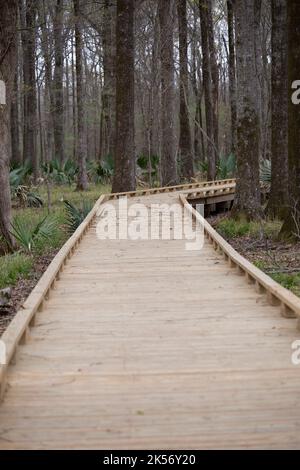 REFUGE NATIONAL DE LA FAUNE de la RIVIÈRE TENSAS, LOUISIANE/États-Unis - 23 MARS 2018 : passerelle en bois à la réserve naturelle nationale de la rivière Tensas. Banque D'Images