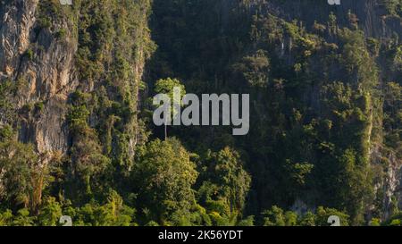 Vue panoramique sur le paysage le matin des arbres en plein soleil qui poussent sur le karst ou la falaise calcaire dans la belle vallée de montagne, Chiang Dao, Chiang Mai, Thaïlande Banque D'Images