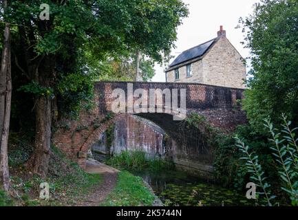 Wildmoorway Lower Lock Bridge et Lock Keepers Cottage sur le canal Severn - Thames, Cerney Wick, Angleterre Royaume-Uni Banque D'Images