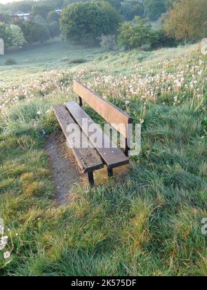 Banc de jardin sur prairie, paysage brumeux le matin Banque D'Images