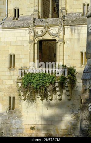 France, Vienne, les trois-Moutiers, château de la Mothe-Chandeniers, daté du 12 ème siècle, broute dans un incendie en 1932 et jamais réparé. Il a été restauré et ouvert au public en 2021 Banque D'Images