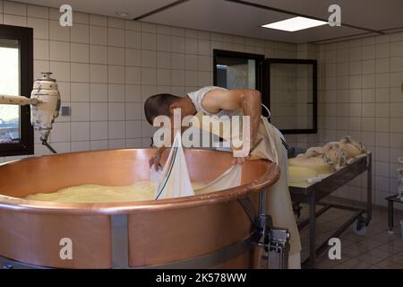 France, haute-Savoie (74), massif des Bauges, Alpage de la Combe des Villards, visite guidée en famille de la ferme des connaisseurs, production de fromage AOP Banque D'Images