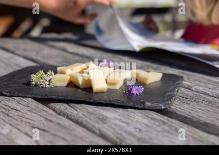 France, haute-Savoie (74), massif des Bauges, Alpage de la Combe des Villards, visite guidée en famille de la ferme des connaisseurs, production de fromage AOP Banque D'Images