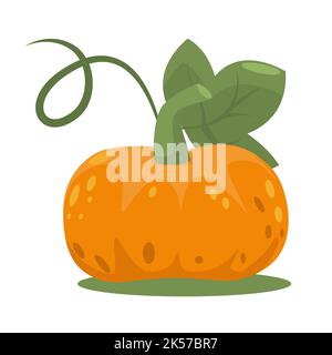 Citrouille orange avec feuille de style plat. Récolte d'automne isolée sur fond blanc. Illustration de Vecteur