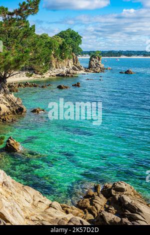 France, Finistère, Fouesnant, la côte entre Beg Meil et Cap Coz le long du sentier côtier ou du sentier de longue distance GR 34 Banque D'Images