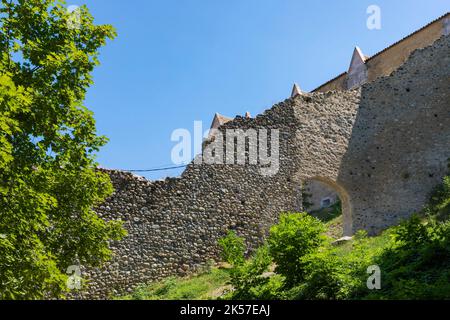 France, Hautes Alpes, Tallard, château classé monuments historiques Banque D'Images