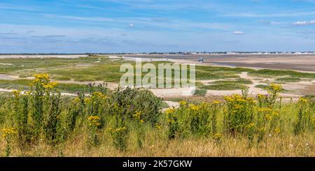 France, somme, Baie de somme, le Hourdel, les mollières au pied du phare Hourdel et le Crotoy en arrière-plan Banque D'Images