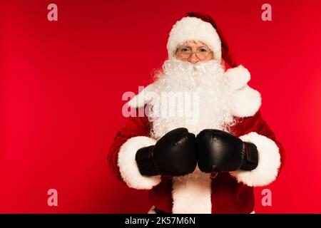 Père noël barbu en gants de boxe regardant la caméra sur fond rouge, image de stock Banque D'Images