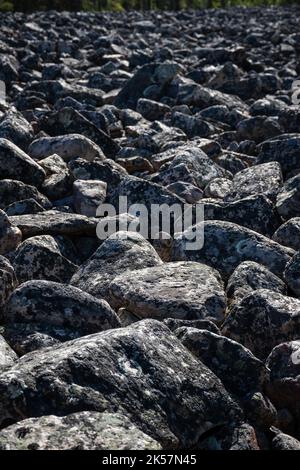 Gros plan d'un champ de rochers, Kivijata dans le parc national de Lauhanvuori, Isojoki, Finlande. Également connu sous le nom de pirunpelto (champ du diable). Banque D'Images