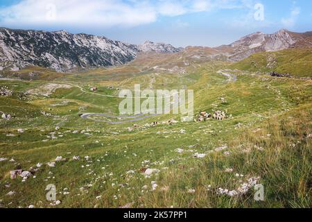 Route sinueuse vue du col de sedlo dans la montagne Durmitor le matin. Parc national de Durmitor, Monténégro. Banque D'Images