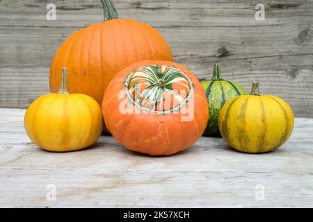 Plusieurs citrouilles se tiennent sur une table en bois clair. Banque D'Images