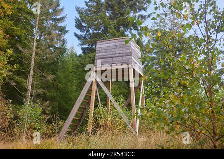 Tour pour les chasseurs dans la forêt au Danemark Banque D'Images