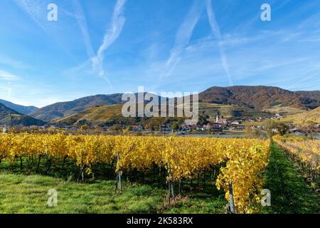 Magnifique vignoble niché sous la vallée de Spitz et le danube Banque D'Images