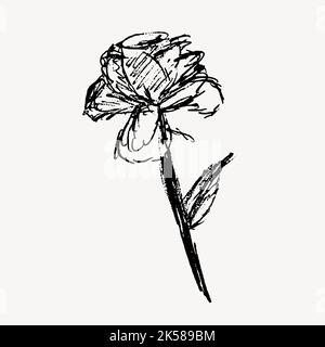 Esquisse de rose dessinée à la main, vecteur d'illustration. Illustration de Vecteur