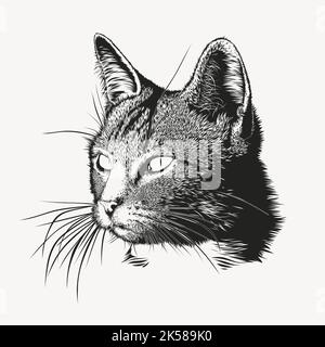 Portrait de chat dessiné à la main, vecteur d'illustration. Illustration de Vecteur