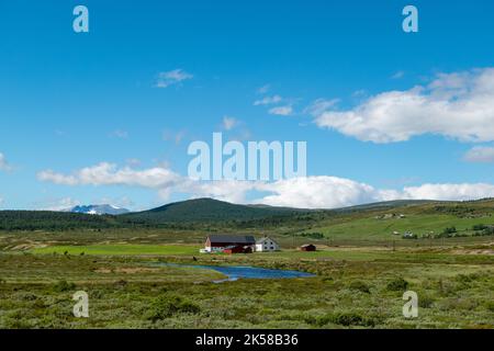 Belle nature dans le parc national de Rondane, Norvège Banque D'Images