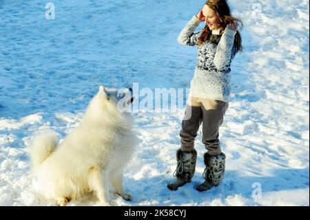 Une adolescente joue avec un chien de la race Samoyed blanc neige et grand elle joue à l'extérieur Banque D'Images