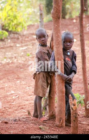 Au sanctuaire du tambour de Gishora dans le parc national de Kibera, Gitega, Burundi Banque D'Images