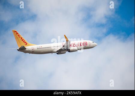30.08.2022, Allemagne, Berlin - Un avion passager Pegasus Airlines de type Boeing 737-800 avec enregistrement TC-AIS décollage de Berlin Brandenburg Banque D'Images