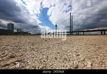 27.07.2022, Allemagne, Rhénanie-du-Nord-Westphalie, Düsseldorf - lit de rivière sec dans le Rhin en face du pont du Rhin et de la tour du Rhin. Après un long dro Banque D'Images