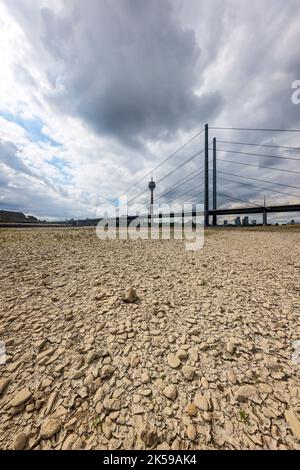 27.07.2022, Allemagne, Rhénanie-du-Nord-Westphalie, Düsseldorf - lit de rivière sec dans le Rhin en face du pont du Rhin et de la tour du Rhin. Après un long séchage Banque D'Images